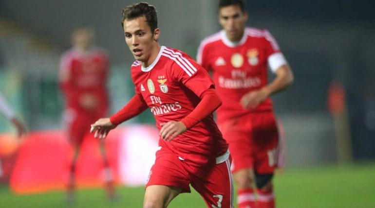 ד״ש מגרימאלדו: