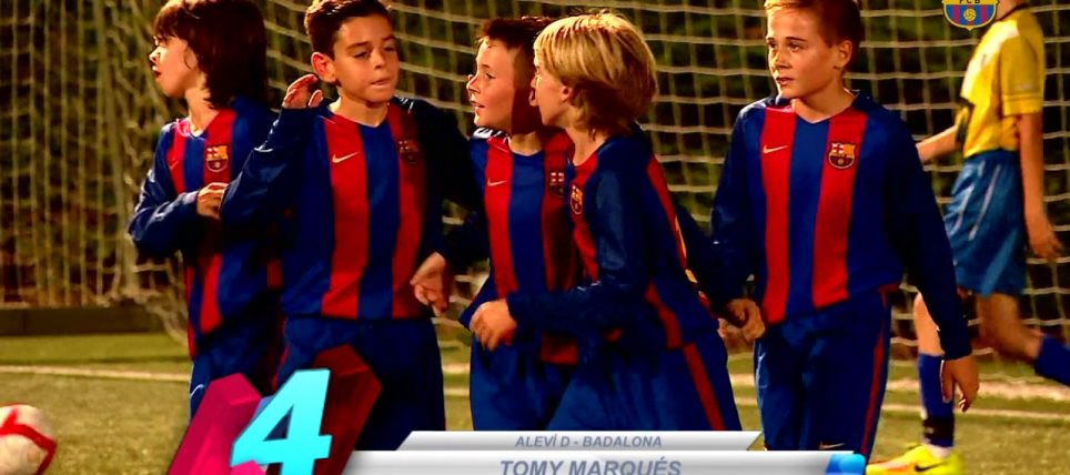 שערי השבוע במשתלה: שבוע הראשון של נובמבר