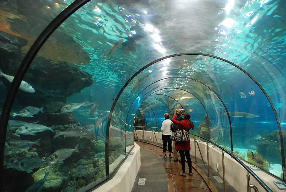 L'Aquàrium